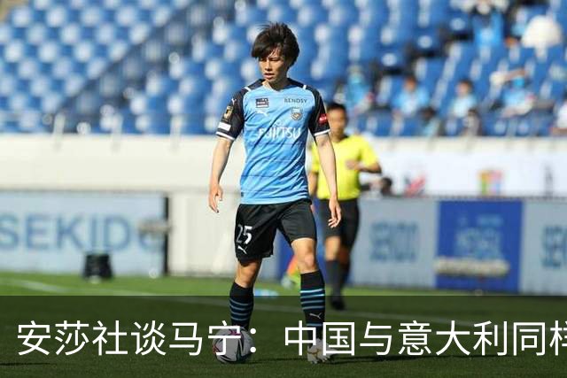 安莎社谈马宁：中国与意大利同样无缘世界杯，这位裁判被球迷追捧